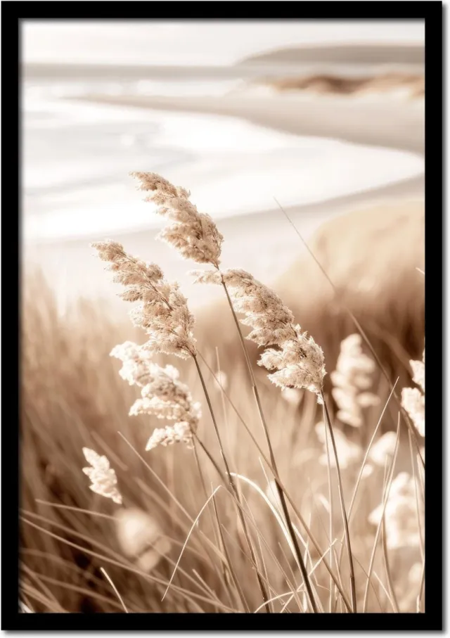 Plakkers Poster siergras op het strand - 50cm x 70cm - vintage - woonkamer - slaapkamer - bloemen posters - goedkoop - muurposter - natuur - wanddecoratie Full-colour