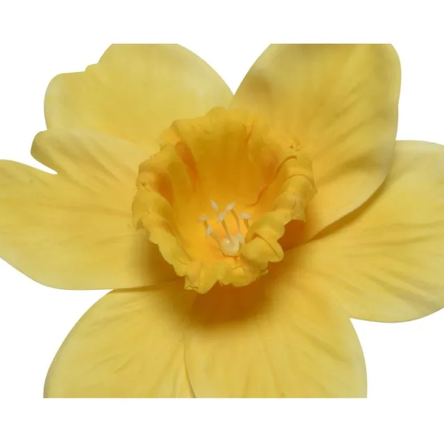 Decoris Kunstbloem Narcis h39cm geel/wit 2 ass