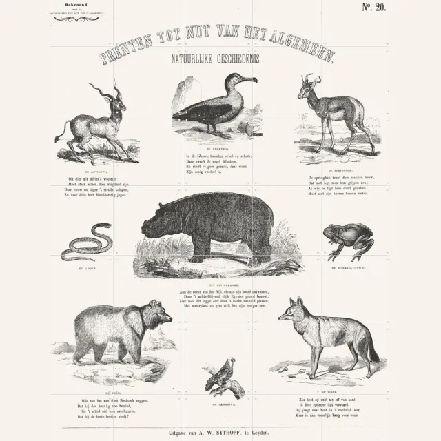 IXXI Animals Chart, Aster Edition - 100 x 140 cm - Grote wanddecoratie en posters - Illustraties, Vintage, Naturalisme, Houtsnede, Klassiek Zwart en wit / Zwart / Lichte tinten