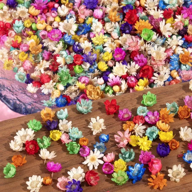 Famanu Mini gedroogde bloemen set met 280 kleurrijke bloemen voor ambachten en hars