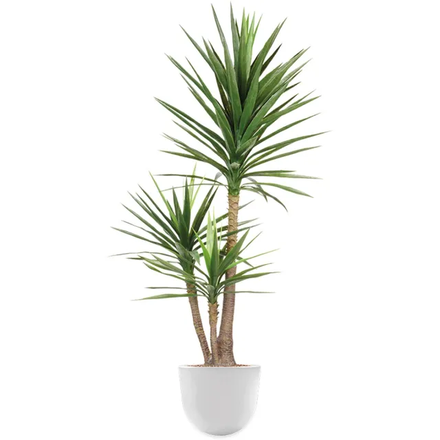 HTT Decorations Kunstplant Yucca in Eggy H175 cm Groen