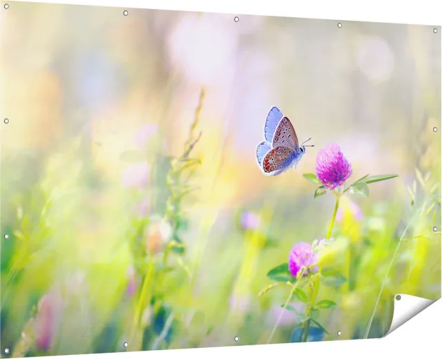 Gards Tuinposter Blauwe Vlinder bij een Paarse Bloem - 180x120 cm - Tuindoek - Tuindecoratie - Wanddecoratie buiten - Tuinschilderij Multikleur