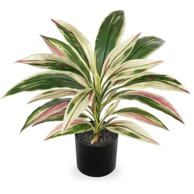 Ibenzoa Kunstmatige Dracaena Kamerplant van 48 cm in Zwarte Pot voor Diverse Interieurtoepassingen groen