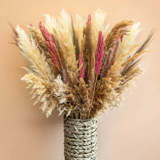 Roselin Deco Droogboeket Elif – Pampas Pluimen – XL Landelijk Droogbloemen Boeket 80 cm Wit