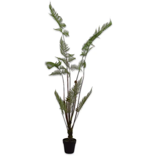 Silk-ka Kunstplant - Varen - Groen - H147 cm