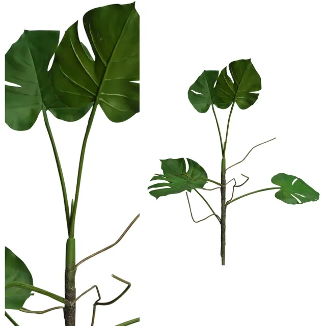 PTMD leaves plant groen philo blad plant tak Blauw