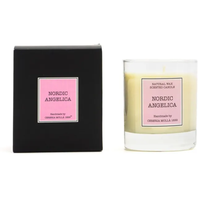 Cereria Mollà 1899 Geurkaars 230g Nordic Angelica 50 branduren sojawas katoenen lont scented candle fris aroma in uw huis wit