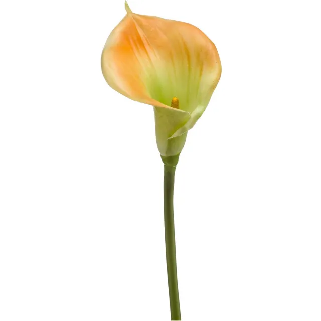 Easyplants Kunstlelie Calla geel 70 cm Goud/Geel/Oker