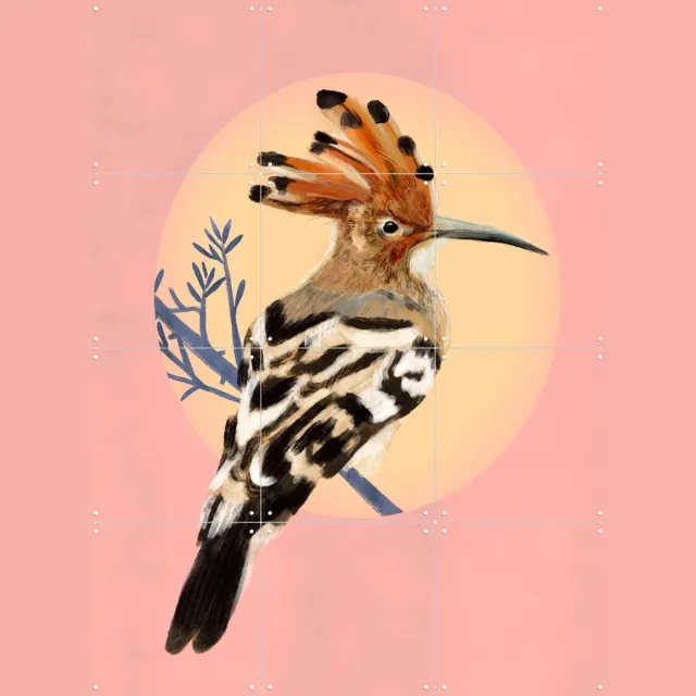 IXXI Hoopoe, Esther Sepers - 60 x 80 cm - Grote wanddecoratie en posters - Kleurrijk, Speels, Digitale Kunst, Illustraties, Woonkamer, Natuur, Dieren Roze