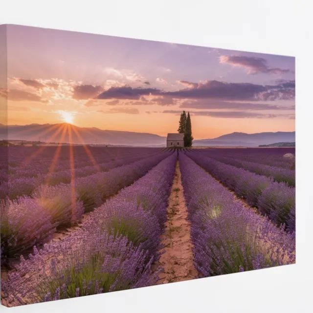 Saammp Canvas Schilderij - Groot lavendelveld met huis - Bloemen - Landschap - Natuur - 70x50 - Foto op canvas - Wanddecoratie - Muurdecoratie Woonkamer - Slaapkamer decoratie - Canvas Print Multicolor