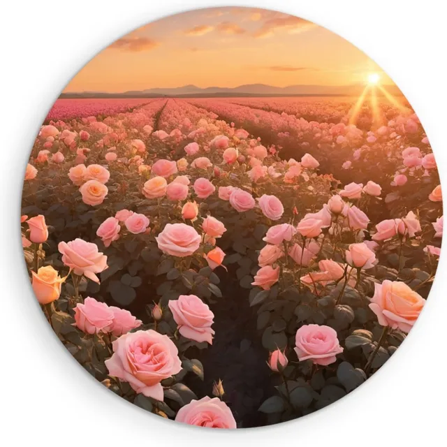 Saammp Forex Muurcirkel - Landschap -Bloemen - Roze - Zonsondergang - Natuur - Ø 50 - Wandcirkel - Wanddecoratie Cirkel - Muurdecoratie Woonkamer - Slaapkamer decoratie - Rond Schilderij
