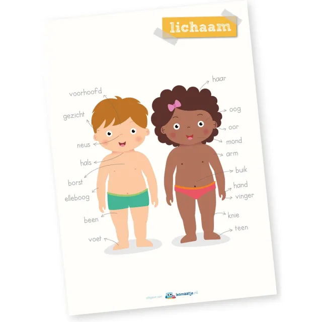 Lesmaatje.nl Educatieve poster | Lichaam Multi colour
