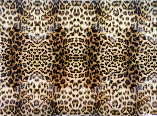 Raved Raamfolie/Plakfolie - Decoratiefolie - Luipaard Print Bruin - 2 m x 45 cm