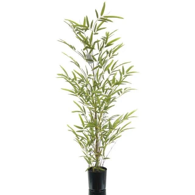 Gasper Bamboe Miniblad Groen Naturel Stam in Kunststofpot 90 cm