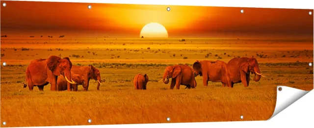 Gards Tuinposter Olifanten in het Wild - Zonsondergang - 180x60 cm - Tuindoek - Tuindecoratie - Wanddecoratie buiten - Tuinschilderij Multikleur