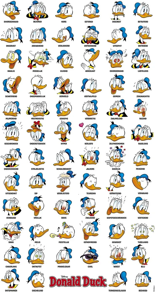 Disney Donald Duck Poster - Buien Multi