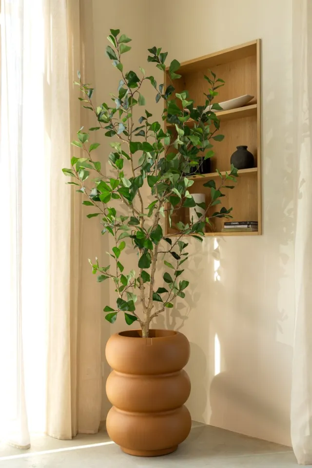 PrettyPlants Ficus Triangularis Kunstplant 180cm Groen