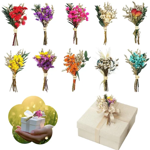 Famanu Kleine droogbloemenboeketten - Perfect voor creatieve decoratie - Natuurlijke uitstraling - 10 stuks