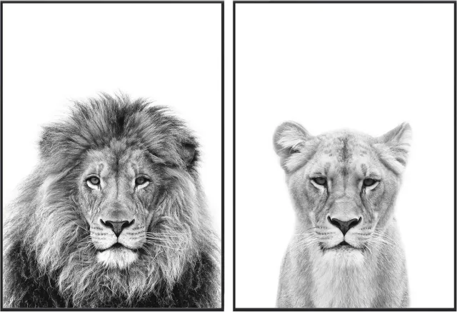 No Filter Zwart/wit posters - Dieren - 2 stuks - 50x70 cm - Leeuw & Leeuwin