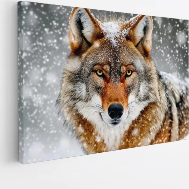 Saammp Canvas Schilderij - Wolf met sneeuw - Dieren - Natuur - 70x50 - Foto op canvas - Wanddecoratie - muurdecoratie Woonkamer - Slaapkamer decoratie - Canvas Print Multicolor