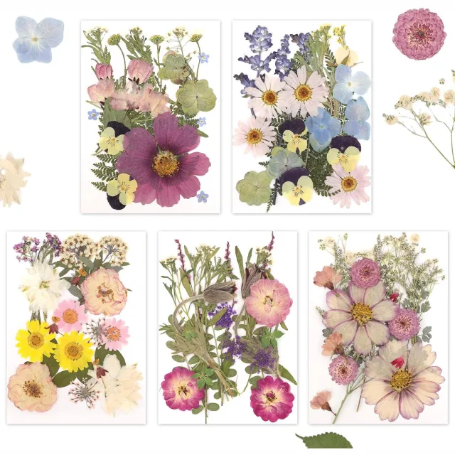 Famanu Geperste gedroogde bloemen in 5 kleuren voor knutselen en decoratie