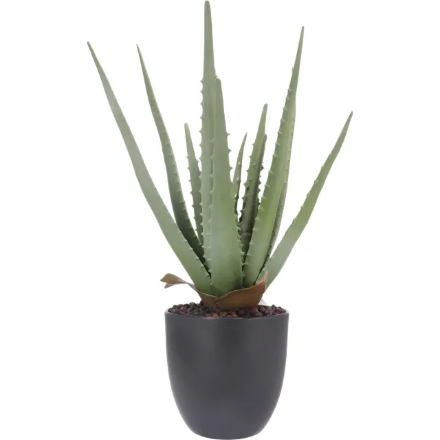 Jumi Kunstplant Aloë in pot 45 cm hoog, groen, LIKE A LIFE decoratie