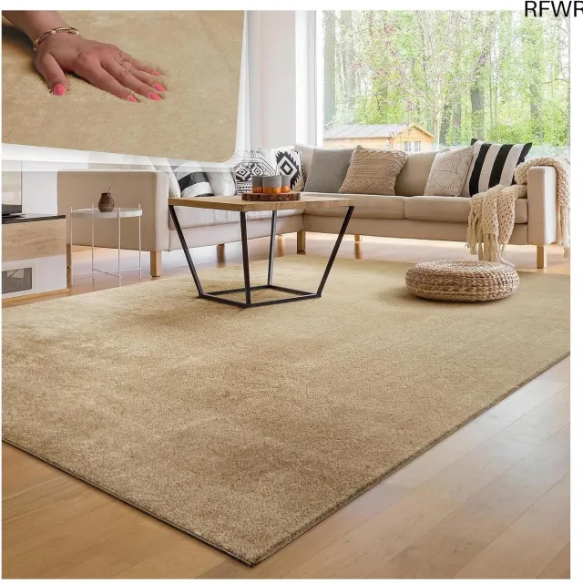 RFWR Moderne Zachte Woonkamer Tapijt Wasbaar Fluffy Uni Effect Tijdloos Elegant Antislip Makkelijk te Onderhouden 120x170 cm Beige