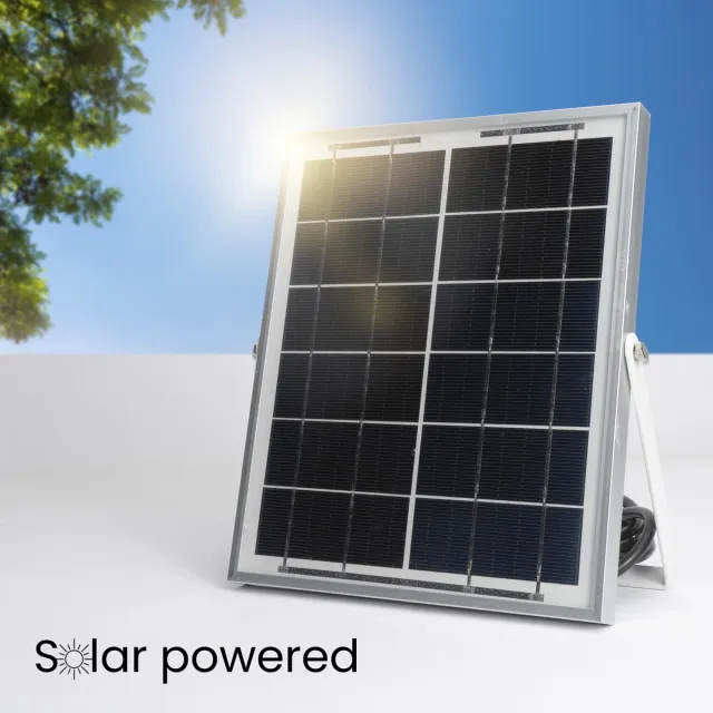 Aigostar 10XHR Solar Buitenlamp - Wandlamp - Tuinverlichting op Zonneenergie - Voor Tuin/Wand/Oprit - 100W - 6500K - IP65 Donkergroen