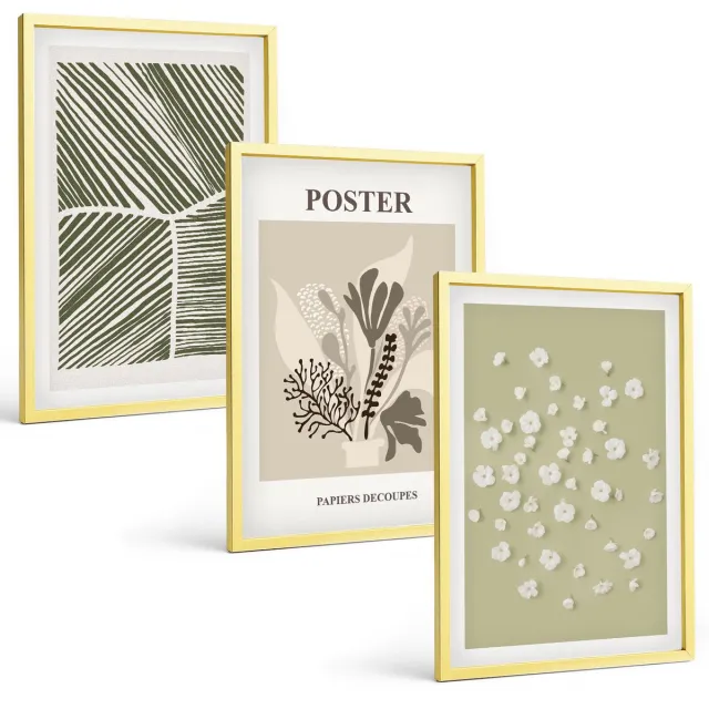 Coloray 3-Delige Schilderij Set - Plantmotieven In Ingetogen Kleuren En Patronen. - 40 x 40 cm En 40 x 60 cm - Stijlvolle Wanddecoratie - Interieur Gouden lijst