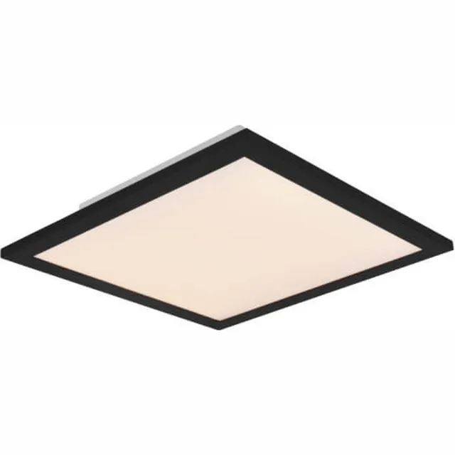 RL LIVE YOUR LIGHT Reality Gamma Plafonnière 1X SMD LED 13.5W Geïntegreerde Dimmer Mat Zwart