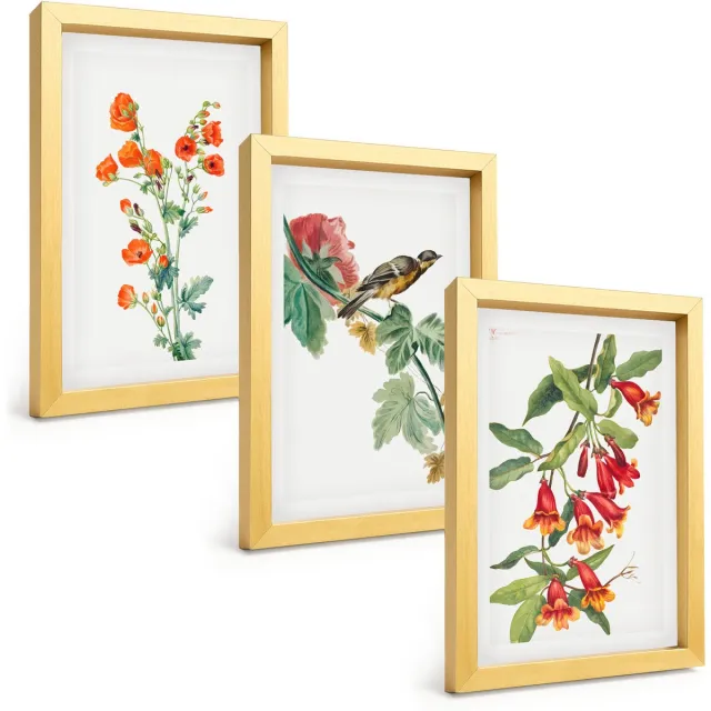 TULUP 4-Delige Schilderij Set - Geschilderde retro bloemen en een vogel op een tak - 20 x 30 cm - Wanddecoratie - Muurdecoratie - Woonkamer - Stijlvolle Muurdecoratie Gouden lijst