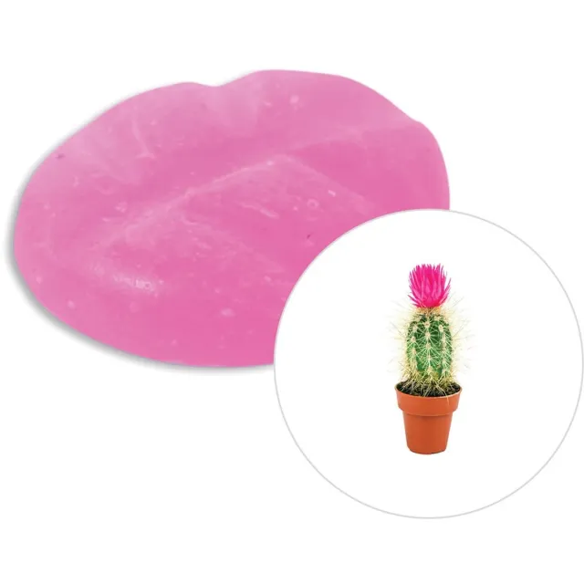 Scentchips Cactusbloem - Geurblokjes - Huisparfum - Geurchips - Waxmelts - Geschikt voor Geurbrander en Waxbrander - S - 8 Stuks Paars