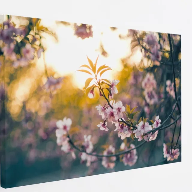 Saammp Canvas Schilderij - Bloemen in zonsopgang - Natuur - 120x80 - Foto op canvas - Wanddecoratie - Muurdecoratie Woonkamer - Kantoor Decoratie Multicolor