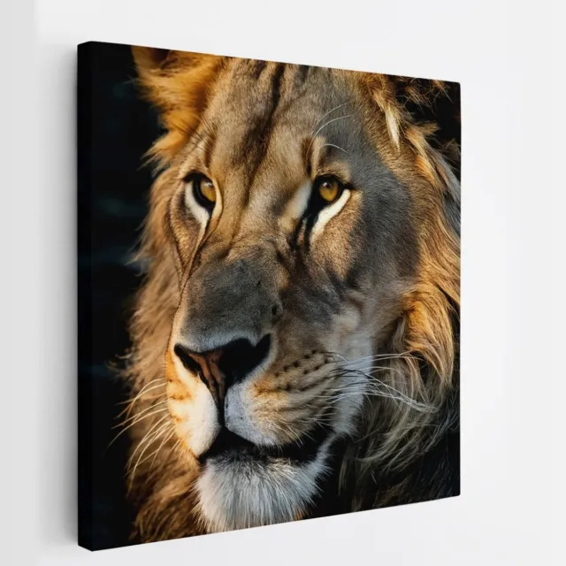 Saammp Canvas Schilderij - Leeuwen Portret - Dieren - Natuur - 40x40 - Foto op canvas - Wanddecoratie - Muurdecoratie Woonkamer - Slaapkamer decoratie - Canvas Print Multicolor