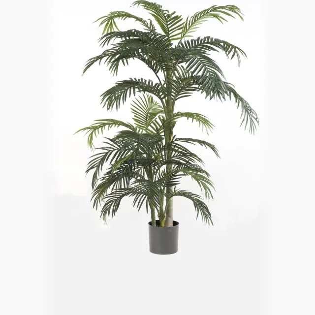 Acera Palm Acera 170 cm hoog met 33 bladeren groen