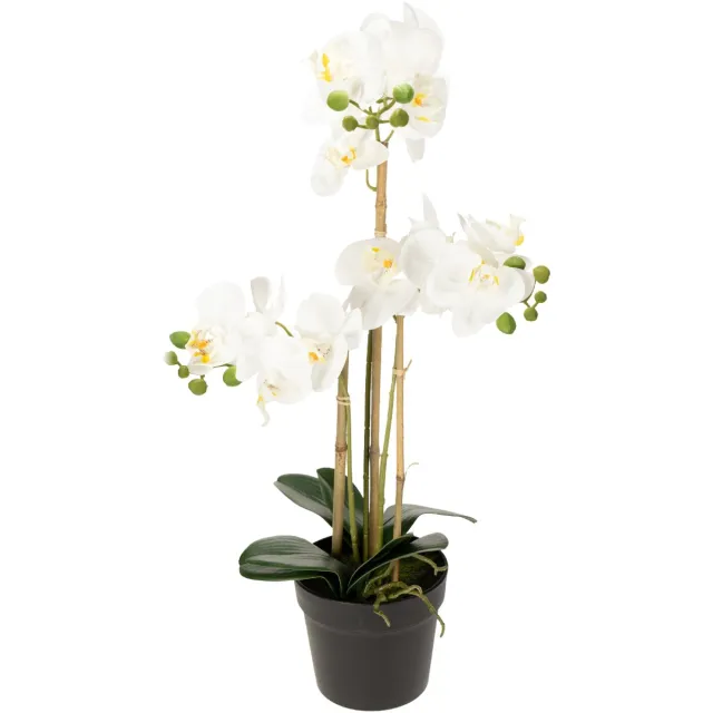 Viana Kunstmatige orchidee in een pot voor een harmonieuze sfeer, wit, 60 cm