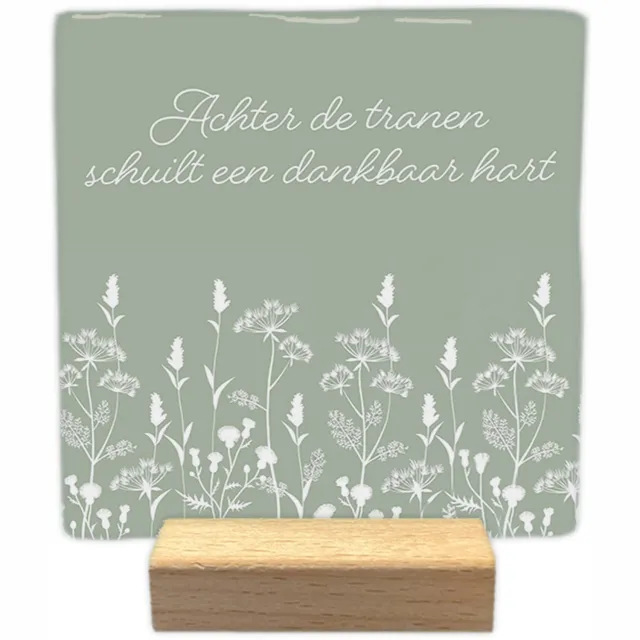 Artige Decoratie tegel met tekst- Achter de tranen - keramisch - 10x10 cm - inclusief houder Groen