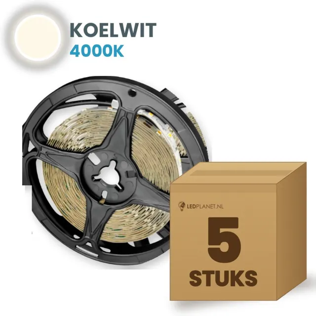Tsong LED strip SMD2835 5 meter - 5 stuks - 12V - 4,8W/m - Koelwit 4000K - 480 lm/m - 60 LEDs/m - CRI>80 - IP65