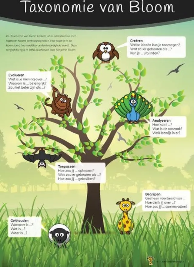 Leerkrachtshop.nl Leerkrachtshop | Poster taxonomie van Bloom A2 Groen