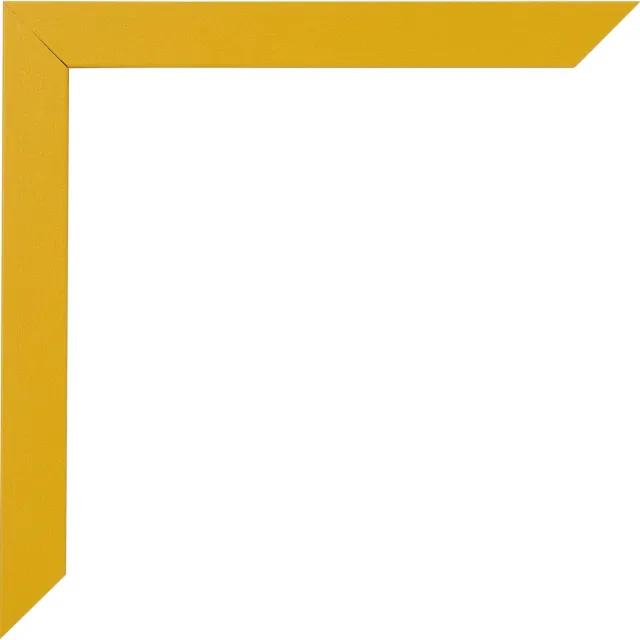 Dutch Frame Factory Fotolijst 33x98 cm - MDF - Geel - Benno