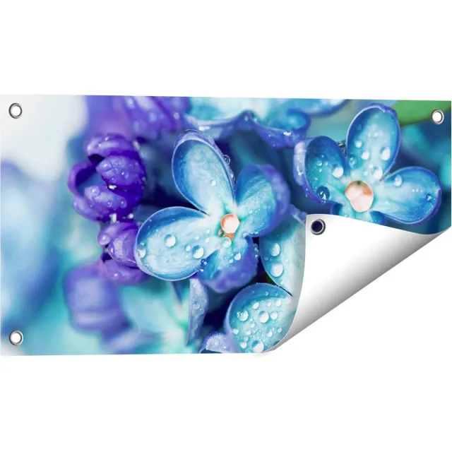 Gards Tuinposter Blauwe Lila Bloemen - Seringen - 60x30 cm - Tuindoek - Tuindecoratie - Wanddecoratie buiten - Tuinschilderij Multikleur