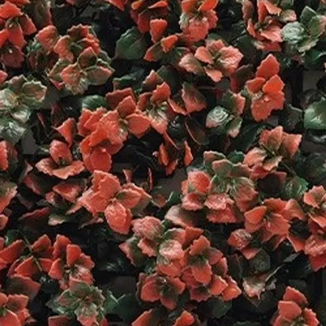 Buitengewoon Boet Kunstplanten mat 50x50 cm pachysandra rood Buitengewoon de Boet groen