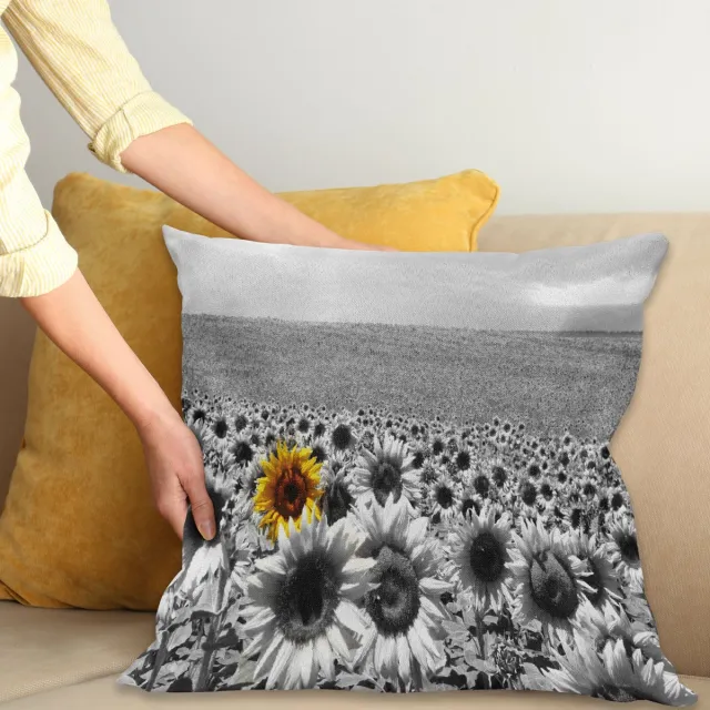 ABAKUHAUS Modern Sierkussenhoes, Zonnebloem Field Zwart en Wit met een Single Geel Bloem Lente Landschap Individuality, Decoratieve Vierkante Sierkussenhoes, 50 x 50 cm, Grijs