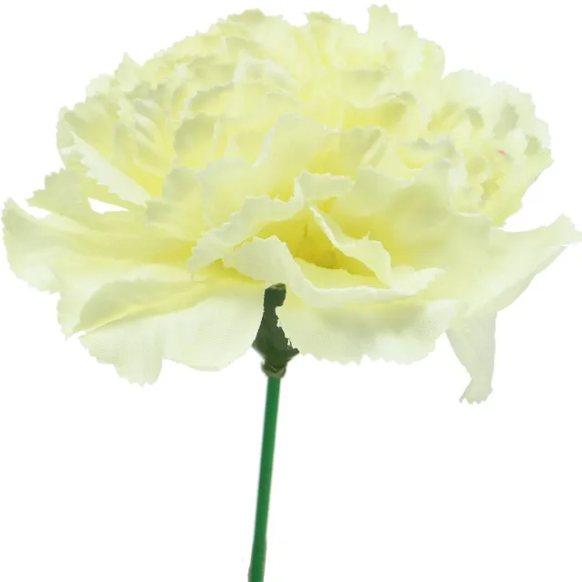 Viana Anjerbloesem wit Ø9cm 12st