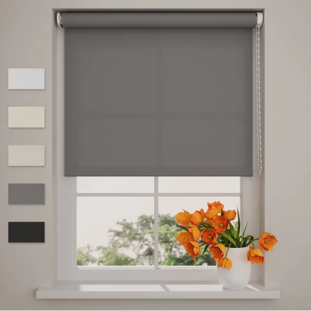 DTCH Rolgordijn Easy Lichtdoorlatend - Grey - 100 x 190 cm Grijs