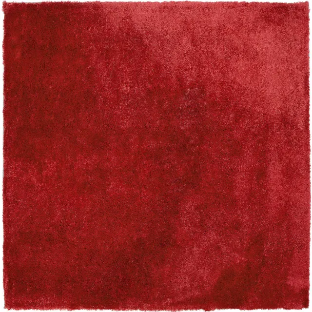 Beliani EVREN - Shaggy vloerkleed - Rood - 200 x 200 cm - Polyester