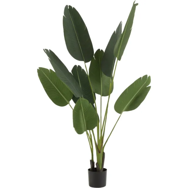 Dulaire Kunstplant Strelitzia 165 cm groen
