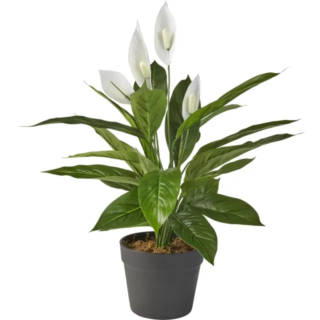 HTT Decorations Kunstplant Spatiphyllum H60cm - HTT Decorations kunstplanten Groen