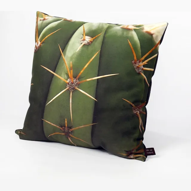 Hugs Sierkussen - Indoor Cactus - Groen - 50 Cm X 50 Cm