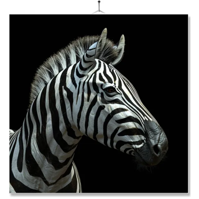 MC Living Tegel Met Opdruk | Geschenk | Dier | Closeup | Zebra Ontwerp 2